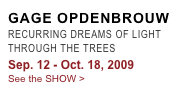 GAGE OPDENBROUW
RECURRING DREAMS OF LIGHT THROUGH THE TREES
Sep. 12 - Oct. 18, 2009
See the SHOW >